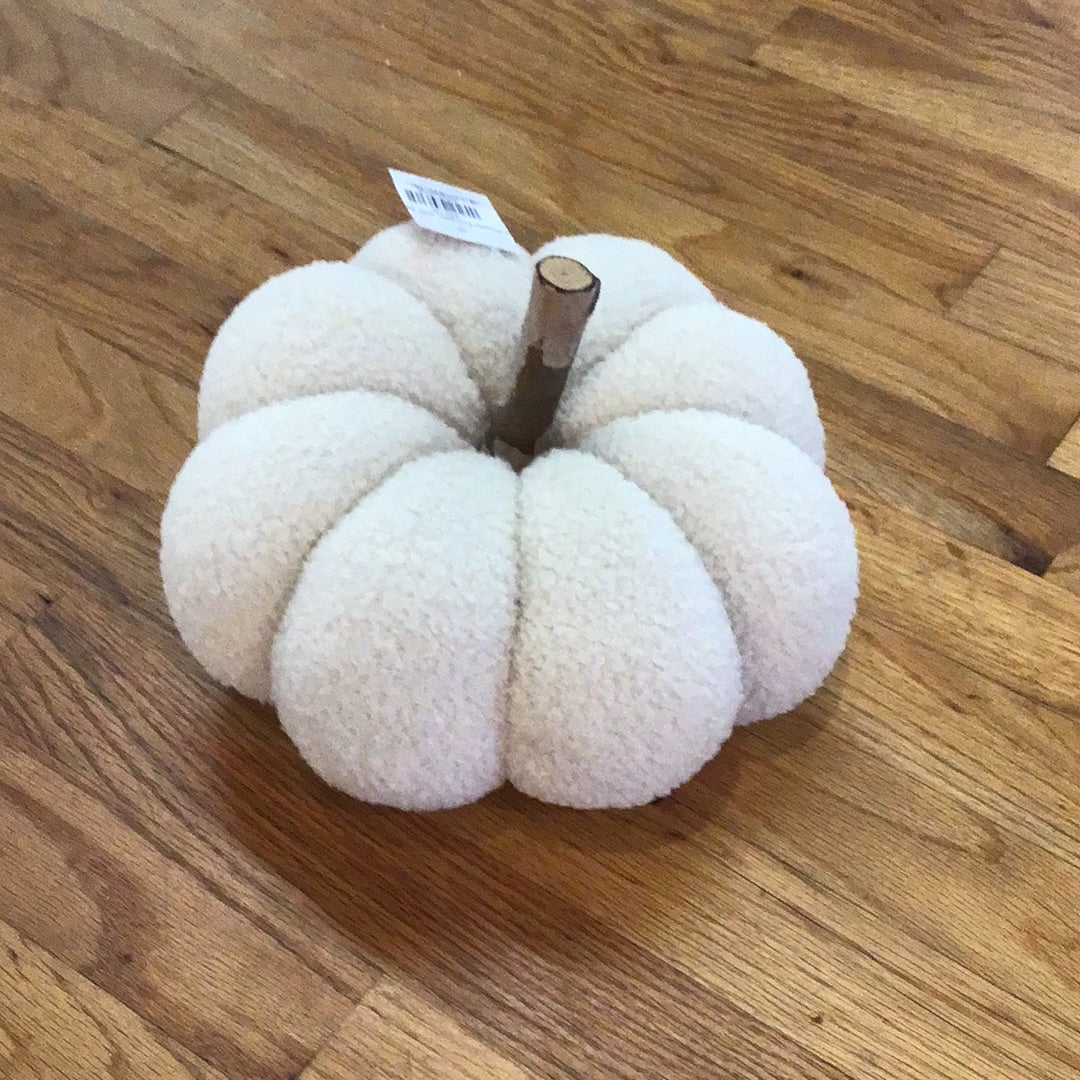 Cozy Cream Pumpkin with Birch Stem
